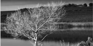  Foto: Marc du Plessis